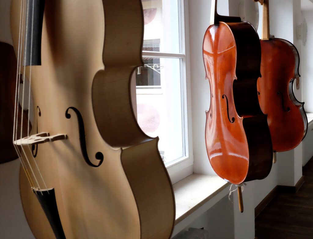 Wie werde ich Mandolinenbauer Mandoline Zupfinstrumente Musikinstrumentenbauschule Mittenwald