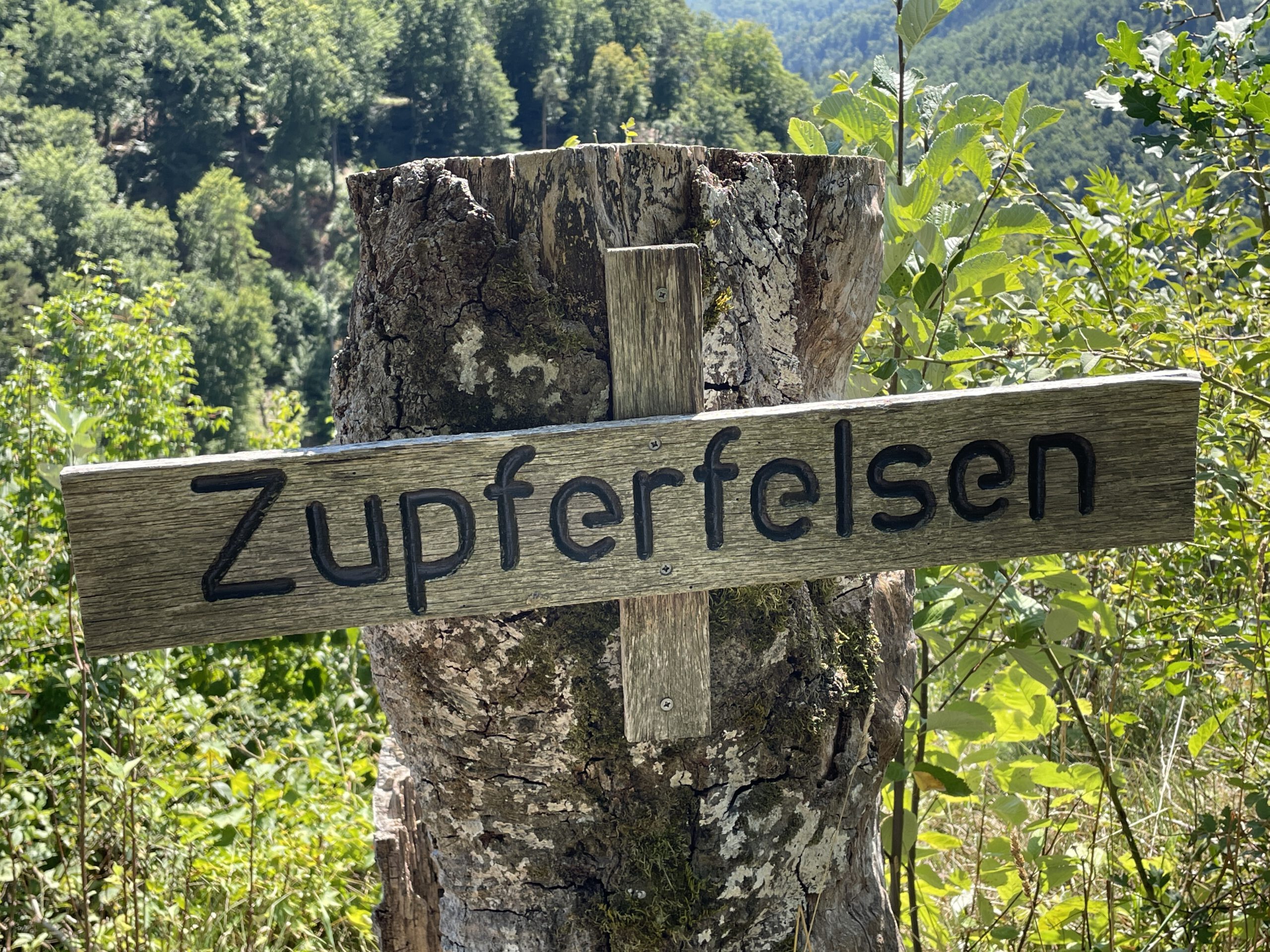 You are currently viewing Der Zupferfelsen – ein Ausflug auf die schwäbische Alb