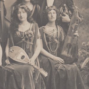 Read more about the article Gemischtes Ensemble mit Harp-Lute und Mandoline