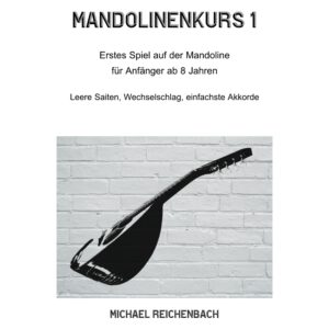 Read more about the article Mandolinenkurs 1