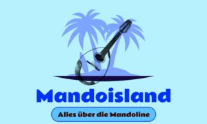 Mehr über den Artikel erfahren Test mit Kadence Blocks