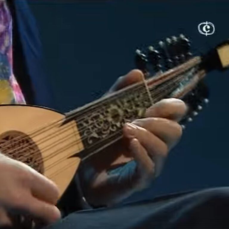 Mehr über den Artikel erfahren 1 Million Views – Vivaldi Mandolinenkonzert