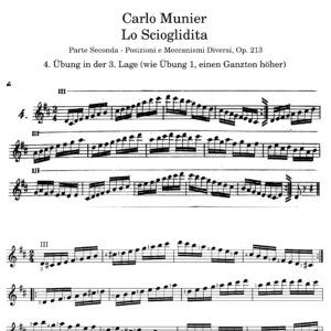 Mehr über den Artikel erfahren Lo Scioglidita 2-04 – Übung in der 3. Lage