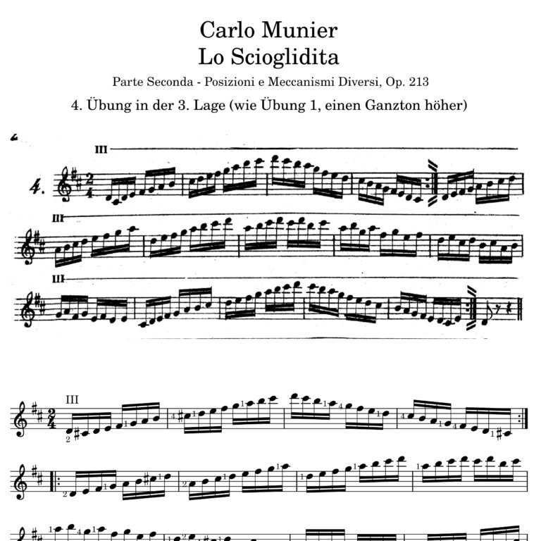 Mehr über den Artikel erfahren Lo Scioglidita 2-04 – Übung in der 3. Lage